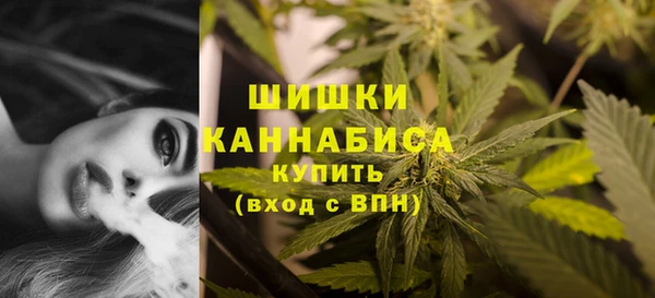 шишки Медногорск