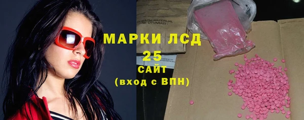 шишки Медногорск