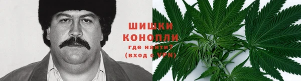 шишки Медногорск