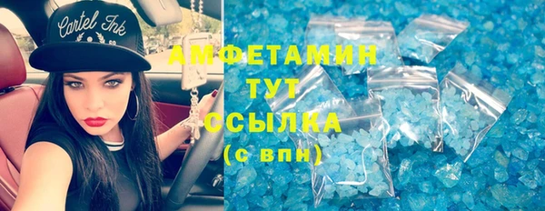 прущие грибы Балахна