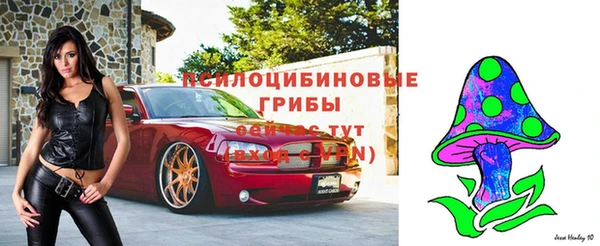 шишки Медногорск
