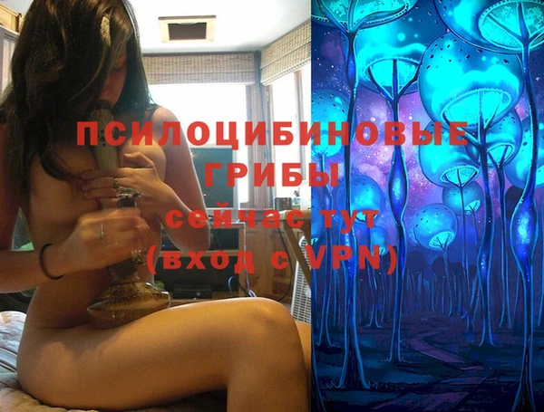 шишки Медногорск