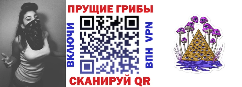 Псилоцибиновые грибы Cubensis  Болотное 