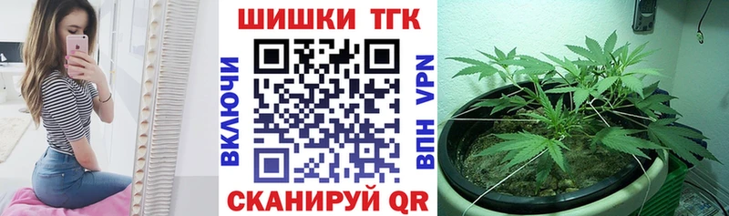 как найти   Болотное  МЕГА ССЫЛКА  Каннабис семена 
